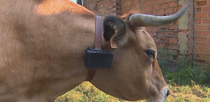 Un ingeniero informático inventa un ahuyentador de depredadores para proteger al ganado como TFG