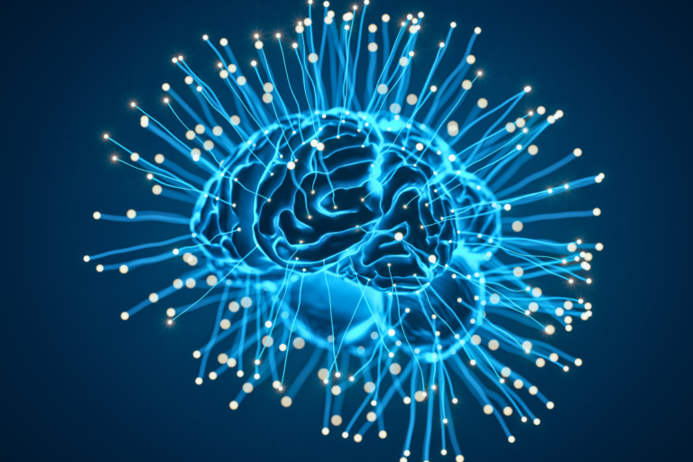 La UFV solicita una patente para una IA que construye un perfil detallado de la actividad cerebral