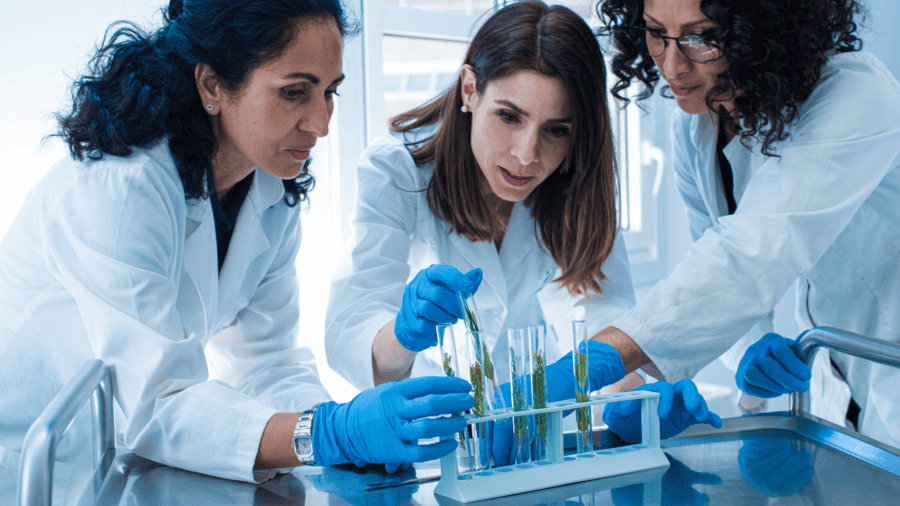El Ministerio de Ciencia, Innovación y Universidades está preparando el informe Científicas en Cifras 2025
