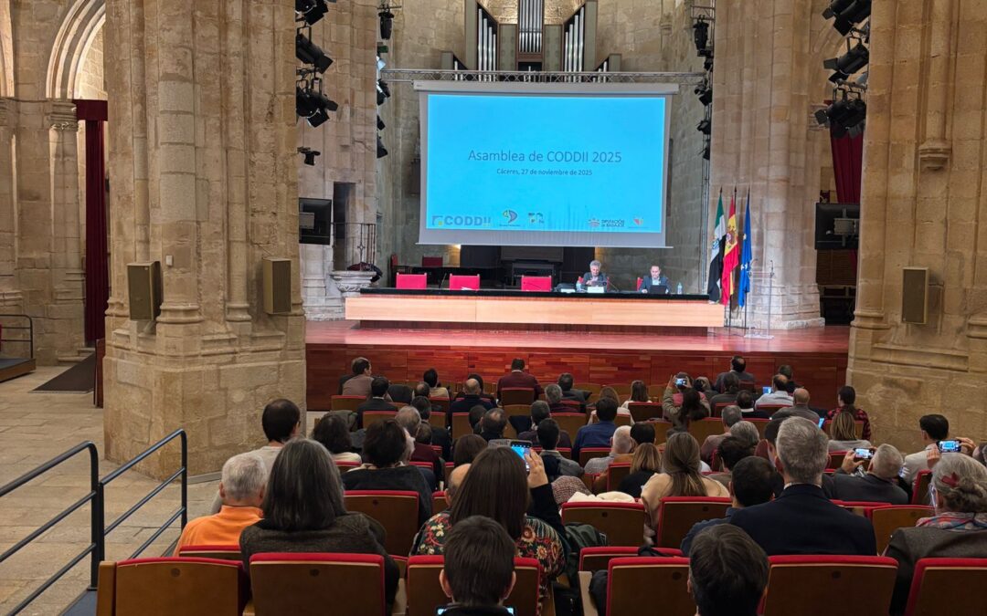 CODDII impulsa la actualización de titulaciones y elige a Manuel Enciso como presidente